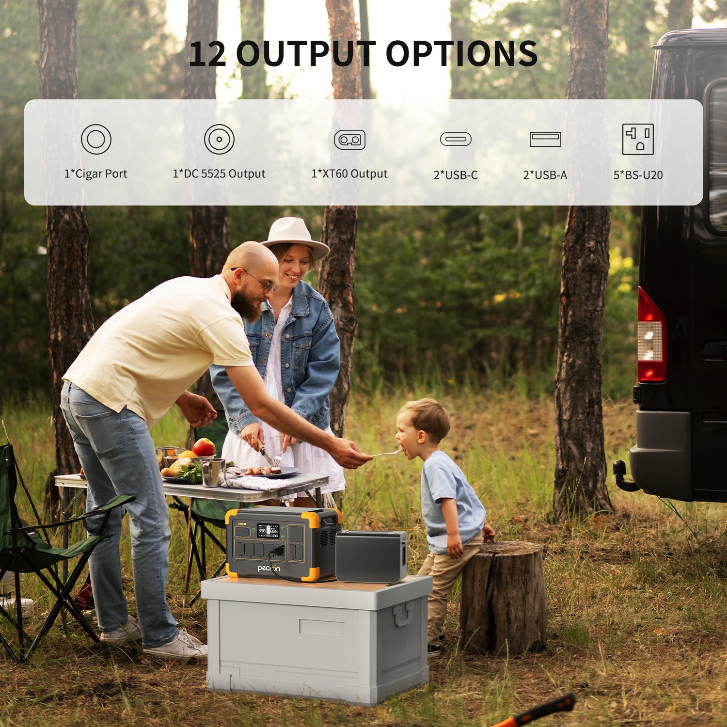 PECRON E1000LFP Portable Power Station