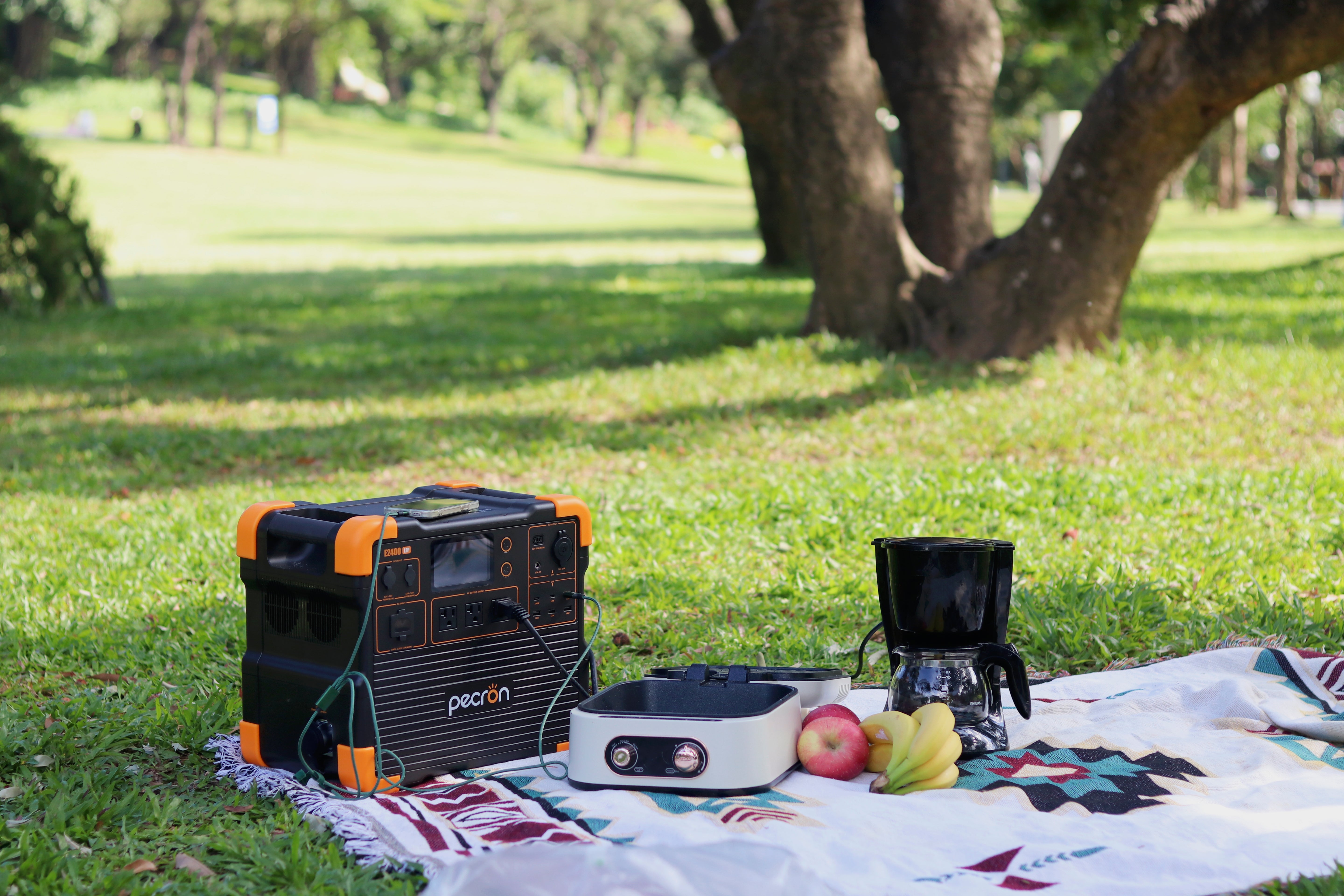 PECRON E2400LFP Portable Power Station